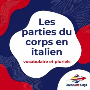 Les parties du corps en italien : vocabulaire et pluriels irréguliers